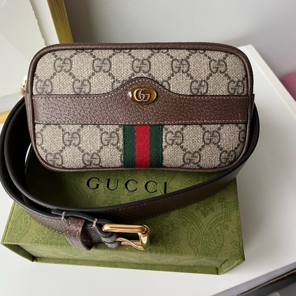 Gucci Mini Bag in Brown and Green